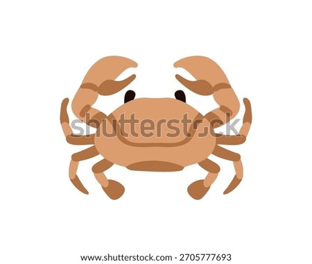 Crab with claws, top view. Marine crustacean, exotic sea food delicacy. Tropical ocean animal with pincers. Seafood delicatessen icon. Flat vector illustration isolated on white background