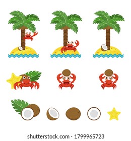 Crab, coconut and palm, vector collection. Cute cartoon crab smiles, holds coconut, sits on palm. Half coconut, slice and leaf of palm in various sides. Coconut lies under palm tree on sand island.