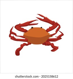 Crab Color Clipart Vector Illustration Design Stock Vector (Royalty ...