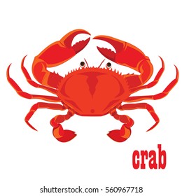 crab  design