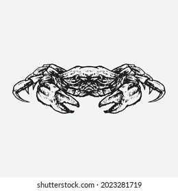 Crab drawing illustration. Creative design.
