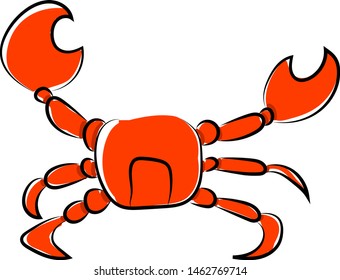 Krabbenzeichnung, Illustration, Vektorgrafik auf weißem Hintergrund.