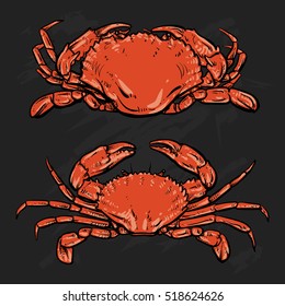Crab drawing on black background. Hand drawn outline seafood illustration. Great for menu, poster or label.