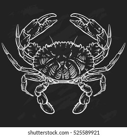 Crab drawing on black background. Hand drawn outline seafood illustration.