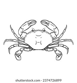 Crab drawing on white background , vector illustration.
