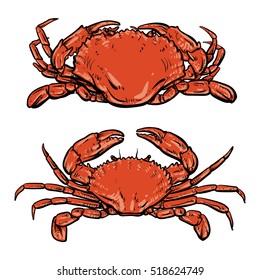 Crab drawing on white background. Hand drawn outline seafood illustration. Great for menu, poster or label.