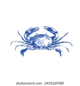 Crab drawn by graphic lines on a light background. Icon for the menu of fish restaurants, markets and shops. Vector blue crab illustration.