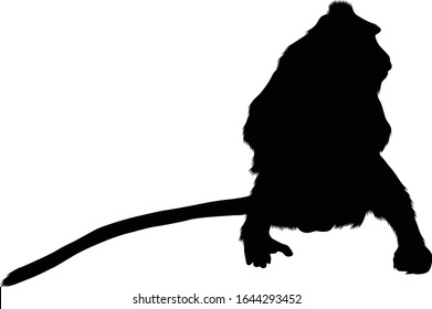 Crab Eating Macaque (Macaca Fascicularis) Silhouette Vector Found In Map Of Asia