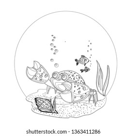 crab  fishes  sea