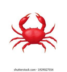 Crab in flat and cartoon style isolated on white background. Seafood product design.