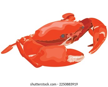 Crab in flat design on white background