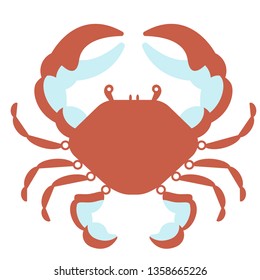 crab flat illustration on white