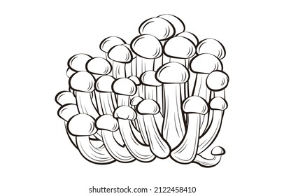 Crab flavor mushroom vector illustration