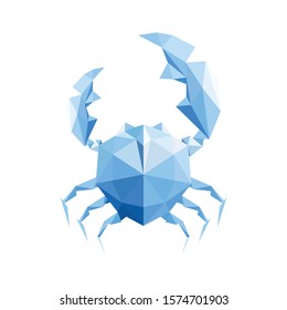 crab geometry vector design eps 10