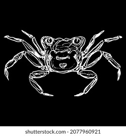 Crab Geosesarma Tiomanicum. Vampire crab. Hand drawn linear doodle rough sketch. White silhouette on black background.
