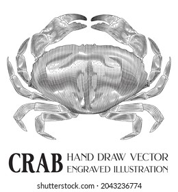 Crab Hand Draw Vector, Engraved illustration, Retro vintage style, for a restaurant's menu, Seafood, Lines and colors are clearly separated, ready to be used for further work.
