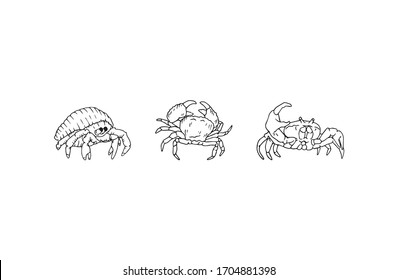 Crab hand drawn set, simple outline illustration. Crabs in different positions. Wild sea animal with tong and shell, logo transparent pen drawing. Ocean creature that lives on the beach. Zodiac sign.