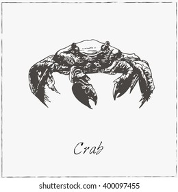 Crab. Hand drawn sketch. Collection of seafood. Vector illustration of for design menus, recipes and packages product.