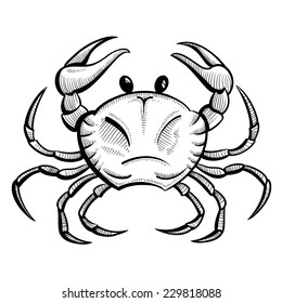 Crab Hand Drawn Sketch Vector Illustration