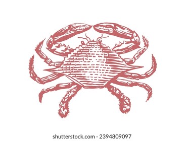 Crab Hand drawn sketch Vector illustration isolated on white background