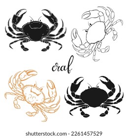 Crab. Hand drawn vector illustration, 4 isolated  elements on white background. Perfect for menu decoration, invitation, card and as a design element.