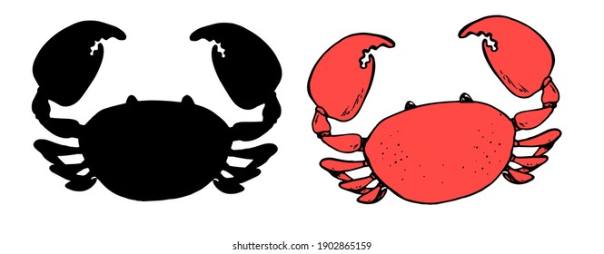 Crab hand-drawn set in sketch style. crab isolated element black outline red color and crab silhouette for menb restaurants sea food