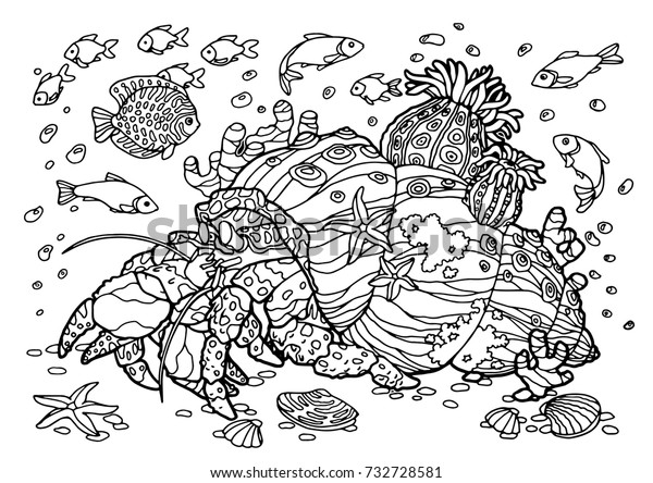 Crab Hermit Sea Coloring Book Pattern Stock Vector (Royalty Free) 732728581