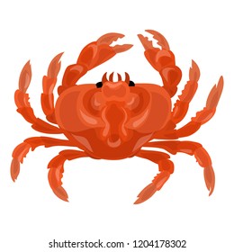 Crab icon. Cartoon of crab vector icon for web design isolated on white background