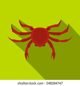 Crab icon. Flat illustration of crab vector icon for web isolated on lime background