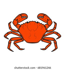 Crab icon isolated on white background. Design elements for logo, label, emblem, sign. Vector illustration