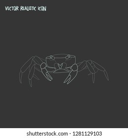 Crab icon line element. Vector illustration of crab icon line isolated on clean background for your web mobile app logo design.