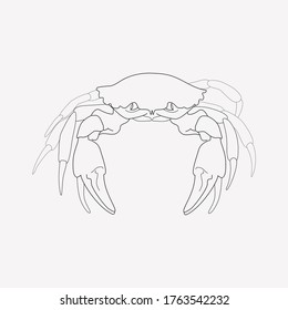 Crab icon line element. Vector illustration of crab icon line isolated on clean background for your web mobile app logo design.