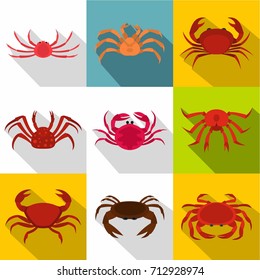 Crab icon set. Flat style set of 9 crab vector icons for web design