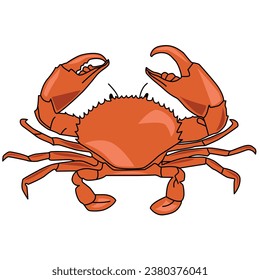 Crab icon vector illustration sign