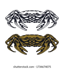 Crab illustration isolated in white background.