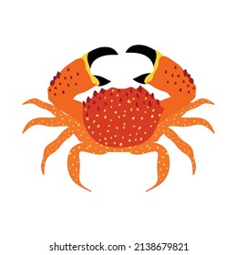 Arte vectorial de ilustración de cangrejo aislado en fondo blanco