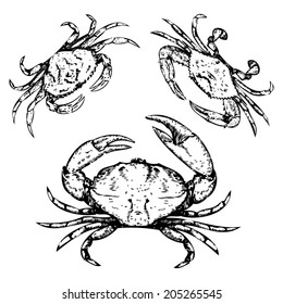 Crab Illustrations - Rough Woodcut Style