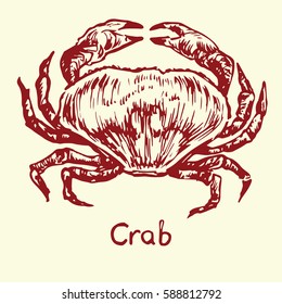 Crab, with inscription, hand drawn doodle, sketch in pop art style, isolated vector illustration