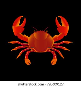 Crab isolated on black background. Vector illustration