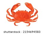 Crab isolated on white background. Vector eps 10.  crab vector on sand color background, perfect for wallpaper or design elements