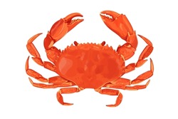 Crab Isolated On White Background. Vector Eps 10.  Crab Vector On Sand Color Background, Perfect For Wallpaper Or Design Elements