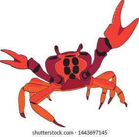 Crab isolated on white background. Vector graphics. Stock vector illustration. There is a place for text. Seafood. Seafood in vector
