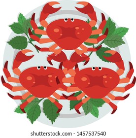 crab isolated on white background. illustration vector