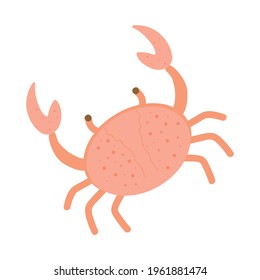 Crab. Isolated on white background. Vector illustration.