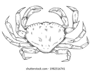 Crab isolated on white background. Vintage hatching vector monochrome black engraving. Hand drawn design in a graphic ink style.