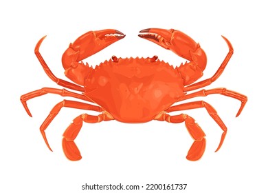 Crab Isolated On White Background. Vector Eps 10. Crab Vector On Sand Color Background, Perfect For Wallpaper Or Design Elements