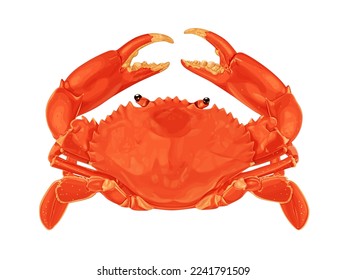 Crab isolated on white background. Vector eps 10. crab vector on sand color background, perfect for wallpaper or design elements