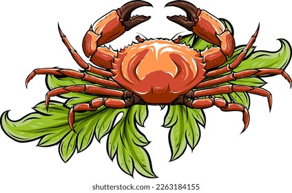 Krabbe einzeln auf weißem Hintergrund. Vektorgrafik