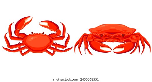 Crab isolated on white background. Vector eps 10. crab vector on sand color background, perfect for wallpaper or design elements