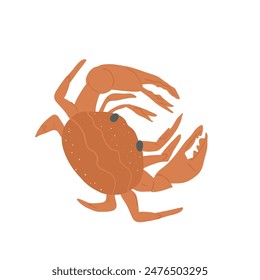 Crab isolated on white background. Marine creature and underwater crustacean. Vector hand drawn illustration.